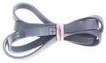 Poly v belt - C00375262 481281718147 Poly-v-belt [Whirlpool Indesit]